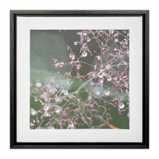 Canvas Print im PS Rahmen 2fa.so. MARGERITE, 25x25x2,5cm, natur