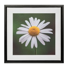 Canvas Print im PS Rahmen 2fa.so. MARGERITE, 25x25x2,5cm, natur