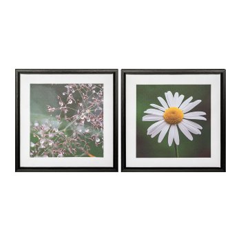 Canvas Print im PS Rahmen 2fa.so. MARGERITE, 25x25x2,5cm, natur