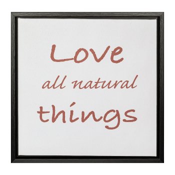 Canvas print in PS frame 2 assorted NATURAL THINGS, 25x25x2,5cm, nature