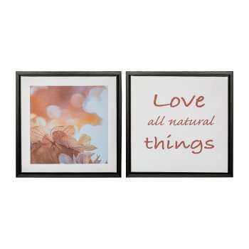 Canvas print in PS frame 2 assorted NATURAL THINGS, 25x25x2,5cm, nature