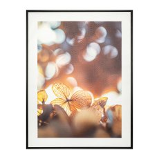 Canvas Print in PS Frame