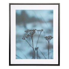 Canvas print in PS frame 2 assorted DRY FLOWER, 40x50x2,5cm, clear