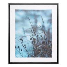 Canvas print in PS frame 2 assorted DRY FLOWER, 40x50x2,5cm, clear