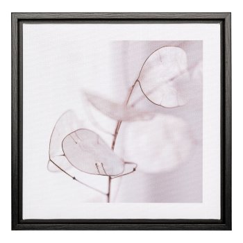 Canvas print in PS frame 2 assorted Penny leaf, 25x25x2,5cm, clear