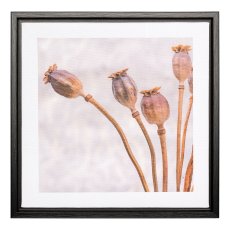 Canvas print in PS frame 2 assorted CAPSULA, 25x25x2,5cm, clear