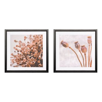 Canvas print in PS frame 2 assorted CAPSULA, 25x25x2,5cm, clear
