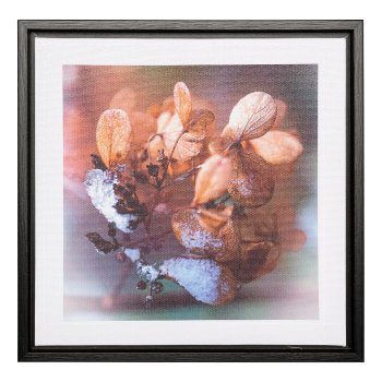 Canvas Print in PS frame 2 assorted LUCKY LEAVE, 25x25x2,5cm, clear