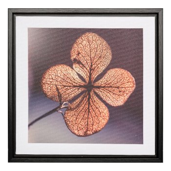Canvas Print in PS frame 2 assorted LUCKY LEAVE, 25x25x2,5cm, clear