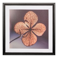 Canvas Print in PS frame 2 assorted LUCKY LEAVE, 25x25x2,5cm, clear