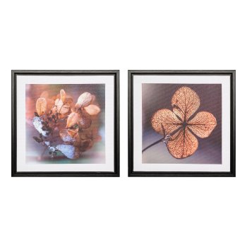 Canvas Print in PS frame 2 assorted LUCKY LEAVE, 25x25x2,5cm, clear