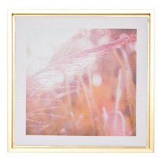 Canvas Decoration picture in PS frame 2 assorted SOFT, 25x25x2,5cm, clear