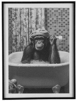 Canvas Print im PS Rahmen, 4fa.so. ANIMAL FREAKY 45x60x2,2cm, Schwarz