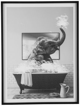 Canvas Print im PS Rahmen, 4fa.so. ANIMAL FREAKY 45x60x2,2cm, Schwarz