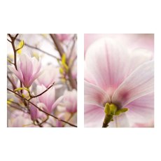 Canvas Decoration Picture Magnolia, 2 assorted, 30x40x1,8cm