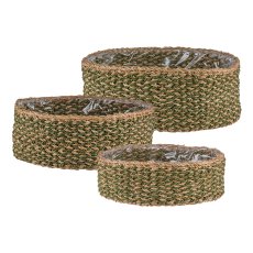 Round seagrass baskets, 33x33x12/37x37x14/43x43x16cm, set of 3, moss
