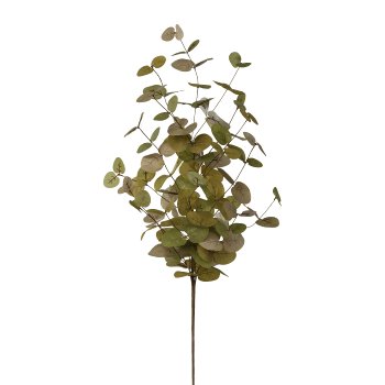 Eucalyptus Branch Autumn, 20x5x90cm, Sage