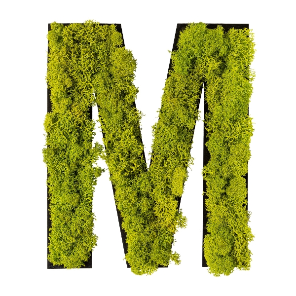 Kunstpflanzen 70x25x5cm, GASPER Großhandel Moos in & 4erSet/Craftbox, grün Deko HOME | Kunstblumen, -