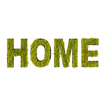 Moss HOME in set of 4/craftbox, 70x25x5cm, green