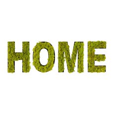 Moos HOME in 4erSet/Craftbox, 70x25x5cm, grün