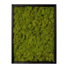 Moos WALLDECO im Rahmen, 30x40x7cm, grün