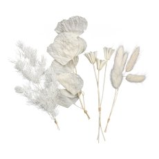 Dried flowers mix Decoration