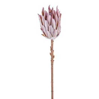 Schaumstoff Protea Zweig 52cm, Mauve