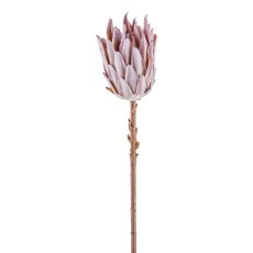 Schaumstoff Protea Zweig 52cm, Mauve