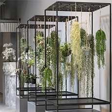 Metal shelf with hanging plants