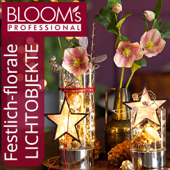 Festive floral objects of light