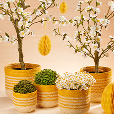 Baskets